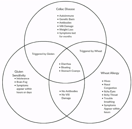 Gluten Sensitivity Is it Real? - Harley Street IBS Clinic